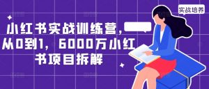 小红书实战训练营,从0到1,6000万小红书项目拆解-宝藏屋创业网