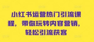 小红书运营热门引流课程,带你玩转内容营销,轻松引流获客-宝藏屋创业网