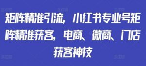 矩阵精准引流,小红书专业号矩阵精准获客,电商、微商、门店获客神技-宝藏屋创业网