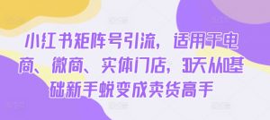 小红书矩阵号引流,适用于电商、微商、实体门店,30天从0基础新手蜕变成卖货高手-宝藏屋创业网