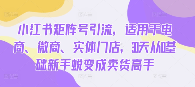小红书矩阵号引流，适用于电商、微商、实体门店，30天从0基础新手蜕变成卖货高手-宝藏屋创业网
