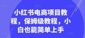 小红书电商项目教程,保姆级教程,小白也能简单上手-宝藏屋创业网
