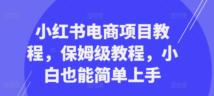 小红书电商项目教程，保姆级教程，小白也能简单上手-宝藏屋创业网