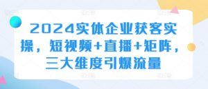 2024实体企业获客实操,短视频+直播+矩阵,三大维度引爆流量-宝藏屋创业网