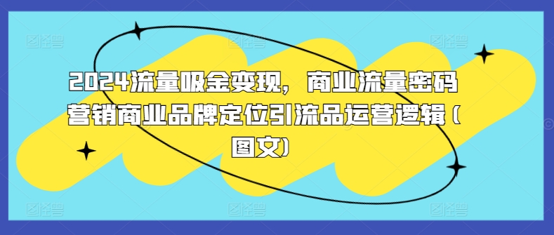 2024流量吸金变现，商业流量密码营销商业品牌定位引流品运营逻辑(图文)-宝藏屋创业网