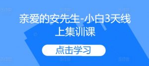 亲爱的安先生-小白3天线上集训课-宝藏屋创业网