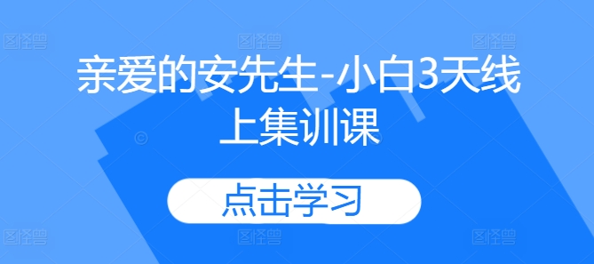 亲爱的安先生-小白3天线上集训课-宝藏屋创业网
