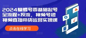 2024蝴蝶号零基础起号全流程+投流,视频号短视频直播带货运营实操课-宝藏屋创业网