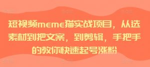 短视频meme猫实战项目,从选素材到把文案,到剪辑,手把手的教你快速起号涨粉-宝藏屋创业网