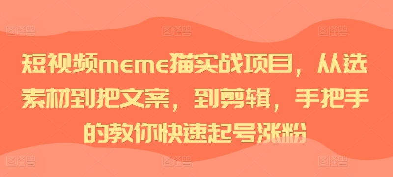 短视频meme猫实战项目，从选素材到把文案，到剪辑，手把手的教你快速起号涨粉-宝藏屋创业网