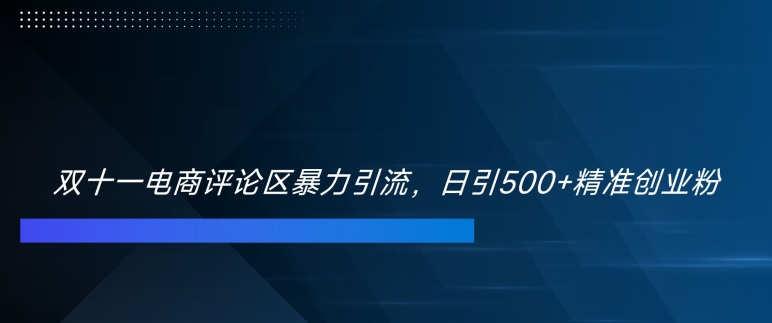 双十一电商评论区暴力引流，日引500+精准创业粉【揭秘】-宝藏屋创业网
