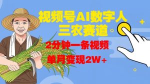 视频号AI数字人玩转三农赛道,2分钟一条视频,单月变现2W+-宝藏屋创业网