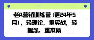 老A营销训练营(更24年10月),轻理论,重实战,轻概念,重本质-宝藏屋创业网