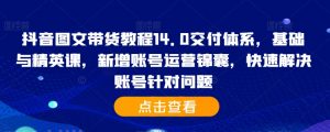 抖音图文带货教程14.0交付体系,基础与精英课,新增账号运营锦囊,快速解决账号针对问题-宝藏屋创业网