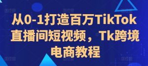 从0-1打造百万TikTok直播间短视频,Tk跨境电商教程-宝藏屋创业网