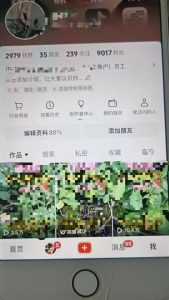 最新抖音暴力起万粉技术,一天涨万粉,发三四个作品涨近万粉-宝藏屋创业网