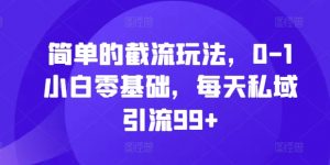 简单的截流玩法,0-1小白零基础,每天私域引流99+【揭秘】-宝藏屋创业网