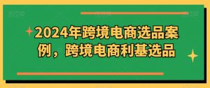2024年跨境电商选品案例,跨境电商利基选品(更新11月)-宝藏屋创业网
