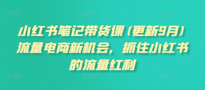 小红书笔记带货课(更新11月)流量电商新机会，抓住小红书的流量红利-宝藏屋创业网
