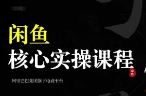 2024闲鱼核心实操课程,从养号、选品、发布、销售,教你做一个出单的闲鱼号-宝藏屋创业网