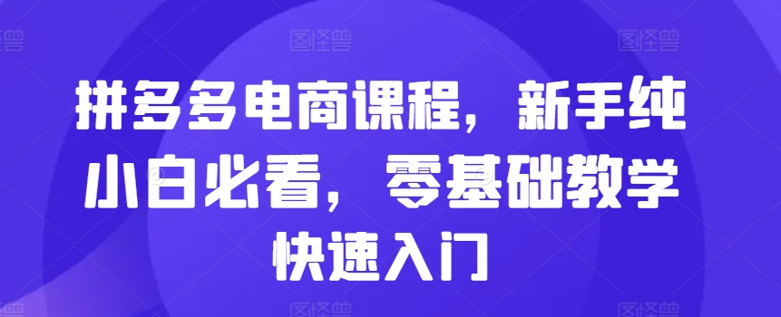 拼多多电商课程，新手纯小白必看，零基础教学快速入门-宝藏屋创业网