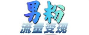 男粉流量+网盘拉新变现,轻松一天3-5张,0基础可学,白嫖来-宝藏屋创业网