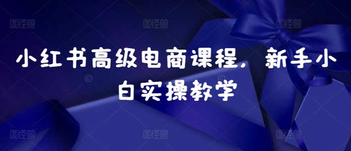 小红书高级电商课程，新手小白实操教学-宝藏屋创业网