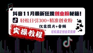 抖音11月最新狂揽创业粉秘籍,轻松日引300+精准创业粉,仅需图片+音频,轻松搞定创业类视频-宝藏屋创业网