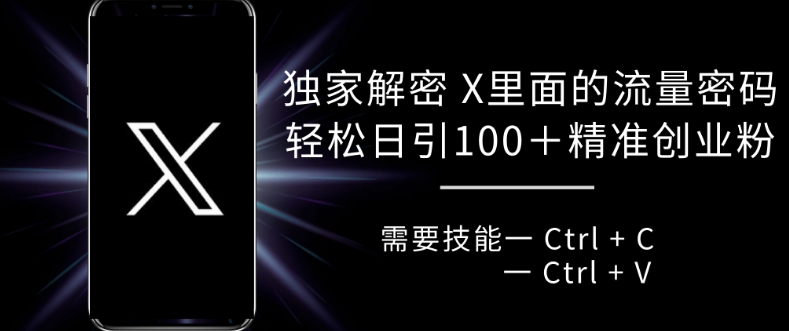 独家解密 X 里面的流量密码，复制粘贴轻松日引100+-宝藏屋创业网