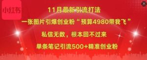 小红书11月最新图片打粉,一张图片引爆创业粉,“预算4980带我飞”,单条引流500+精准创业粉-宝藏屋创业网