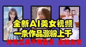 全新AI美女视频,一条作品涨粉上千,所有工具不用会员,全部免费-宝藏屋创业网
