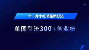 十一月小红书最新打法,单图引流300+创业粉【揭秘】-宝藏屋创业网