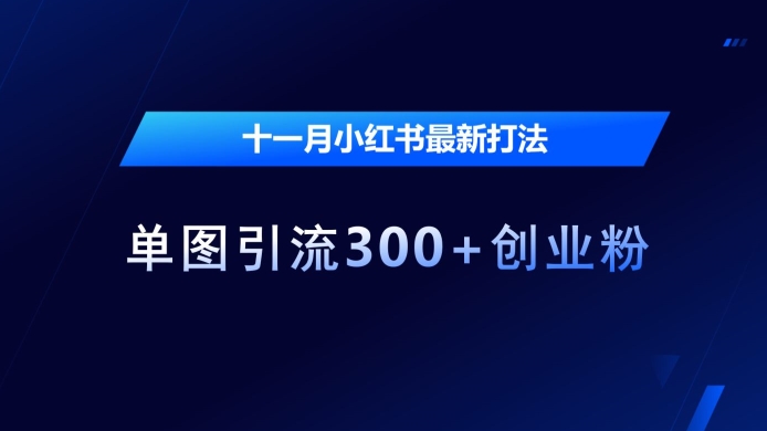 十一月小红书最新打法，单图引流300+创业粉【揭秘】-宝藏屋创业网