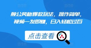颠公风格爆款玩法,操作简单,视频一发即赚,日入轻松过百【揭秘】-宝藏屋创业网