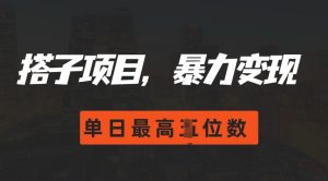 2024搭子玩法,0门槛,暴力变现,单日最高破四位数【揭秘】-宝藏屋创业网
