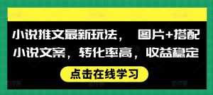 小说推文最新玩法, 图片+搭配小说文案,转化率高,收益稳定-宝藏屋创业网