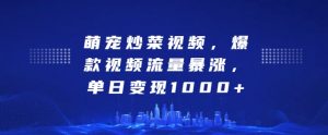 萌宠炒菜视频,爆款视频流量暴涨,单日变现1k-宝藏屋创业网