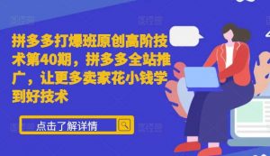 拼多多打爆班原创高阶技术第40期,拼多多全站推广,让更多卖家花小钱学到好技术-宝藏屋创业网