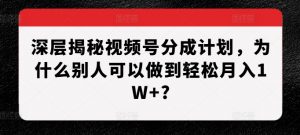 深层揭秘视频号分成计划,为什么别人可以做到轻松月入1W+?-宝藏屋创业网