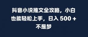 抖音小说推文全攻略,小白也能轻松上手,日入 5张+ 不是梦【揭秘】-宝藏屋创业网