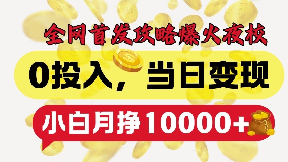 全网首发爆火夜校，0投入，当日变现，小白轻松月入1w+【揭秘】-宝藏屋创业网