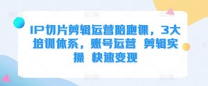 IP切片剪辑运营陪跑课,3大培训体系,账号运营 剪辑实操 快速变现-宝藏屋创业网