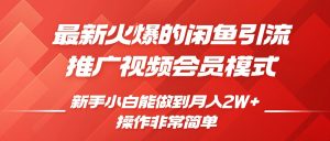 闲鱼引流推广影视会员,0成本就可以操作,新手小白月入过W+【揭秘】-宝藏屋创业网