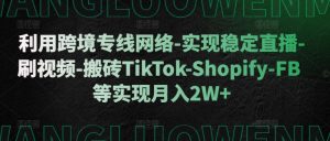 利用跨境专线网络-实现稳定直播-刷视频-搬砖TikTok-Shopify-FB等实现月入2W+【揭秘】-宝藏屋创业网