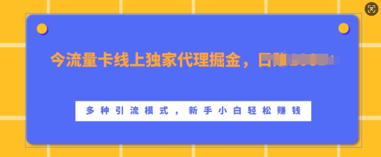 流量卡线上独家代理掘金，日入1k+ ，多种引流模式，新手小白轻松上手【揭秘】-宝藏屋创业网