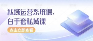 私域运营系统课,白手套私域课-宝藏屋创业网