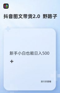 抖音图文带货野路子2.0玩法,暴力起号,单日收益多张,小白也可轻松上手【揭秘】-宝藏屋创业网