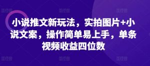 小说推文新玩法,实拍图片+小说文案,操作简单易上手,单条视频收益四位数-宝藏屋创业网