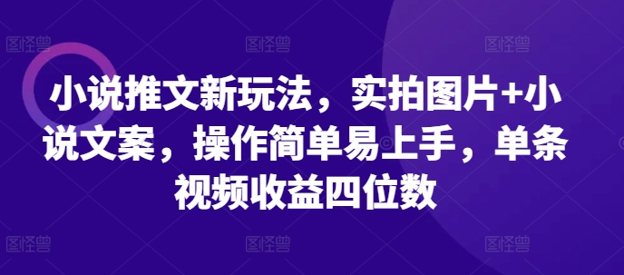 小说推文新玩法，实拍图片+小说文案，操作简单易上手，单条视频收益四位数-宝藏屋创业网