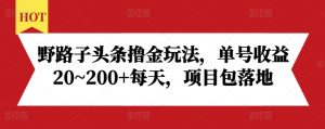 野路子头条撸金玩法,单号收益20~200+每天,项目包落地-宝藏屋创业网